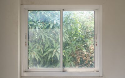 7 Transformative Ways Upgrading Your Window Glass In Frisco Can Revolutionize Your Lifestyle
